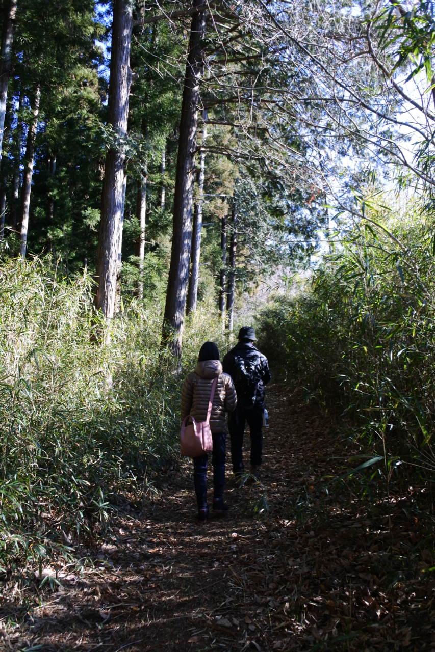 山へ登っていく道