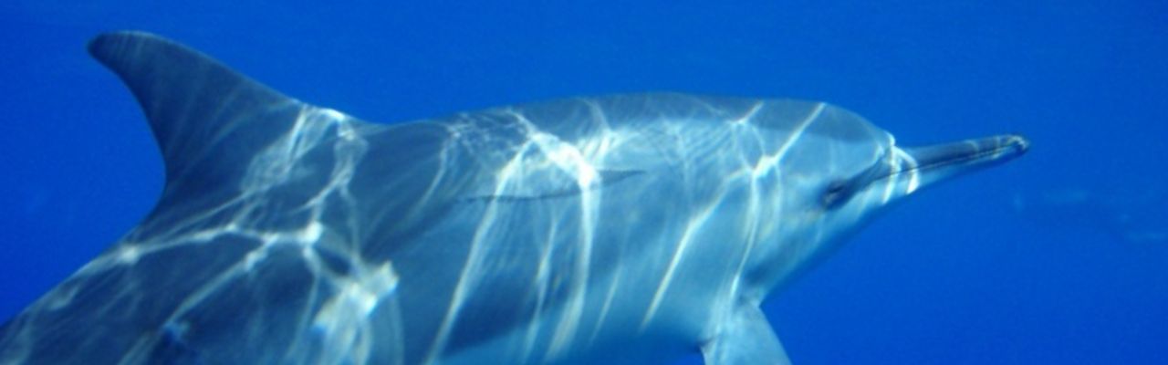 セッションルームの写真